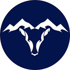 travelwithdeepanshu Logo